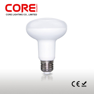 LED R80-WP1-10W