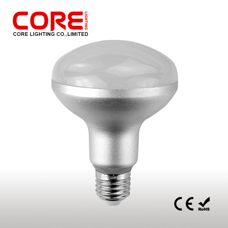 LED R90-SA1-12W 15W
