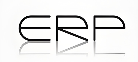ERP.png