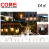 STR-R2050S Rubber string light